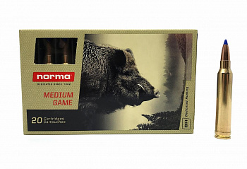 .30-06 sprg. norma tipstrike 170 gr фото