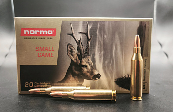 .243 win. norma, oryx bonded 100 gr фото